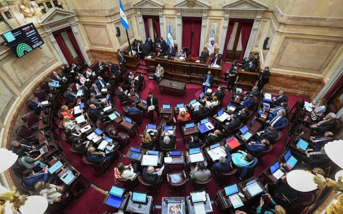 Piden cambios a la ley de Salud Mental: fuertes testimonios sobre las adiciones en el Senado