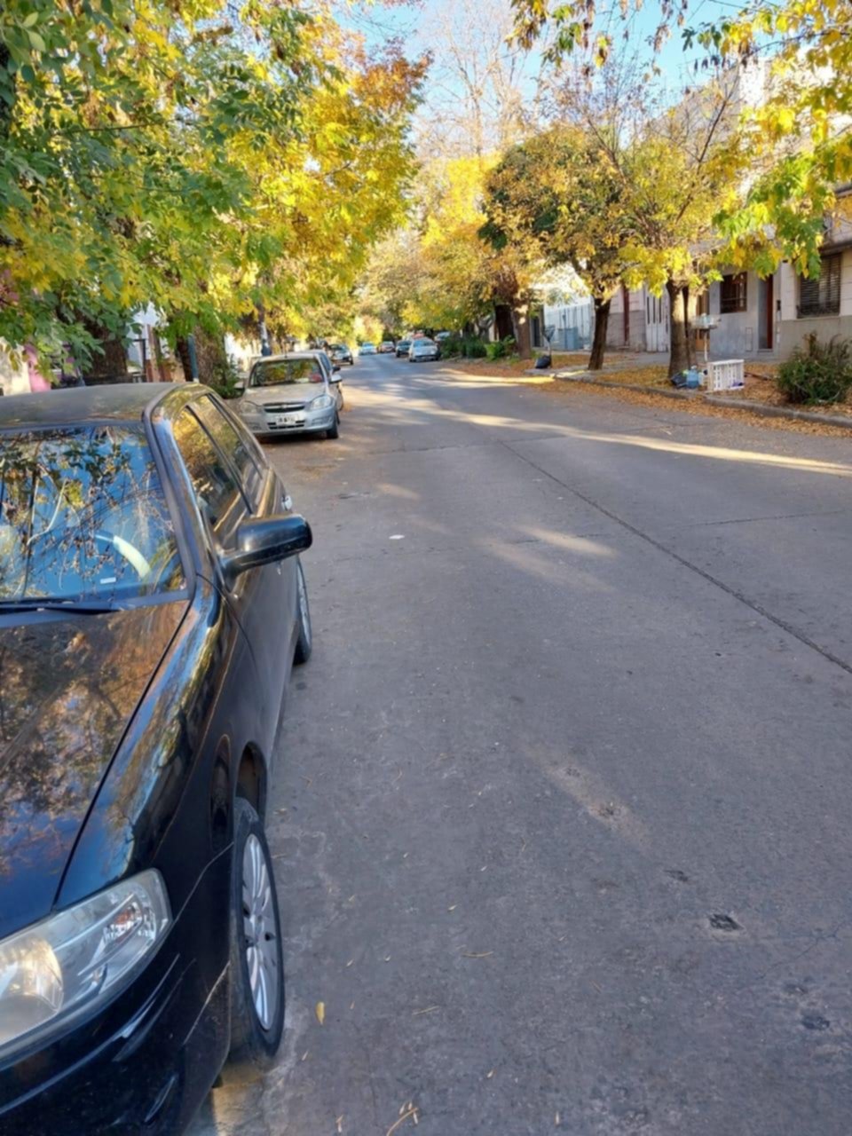 Piden poda por seguridad en el barrio El Mondongo