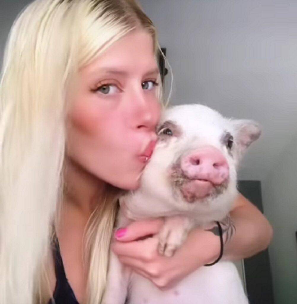 Una ex “GH” pidió canje para el chancho y la escracharon
