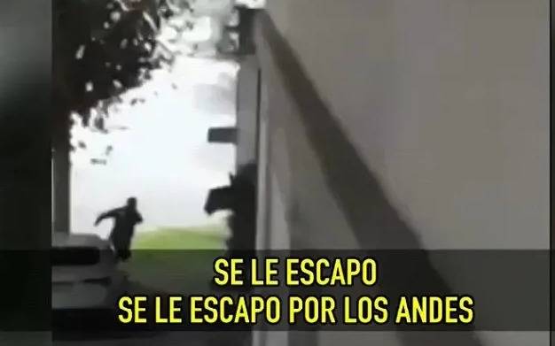 Ladrón escapó de policías mientras lo requisaban en Don Bosco