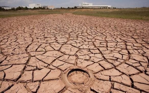 Sequía: declaran la emergencia agropecuaria en 68 partidos de la provincia de Buenos Aires