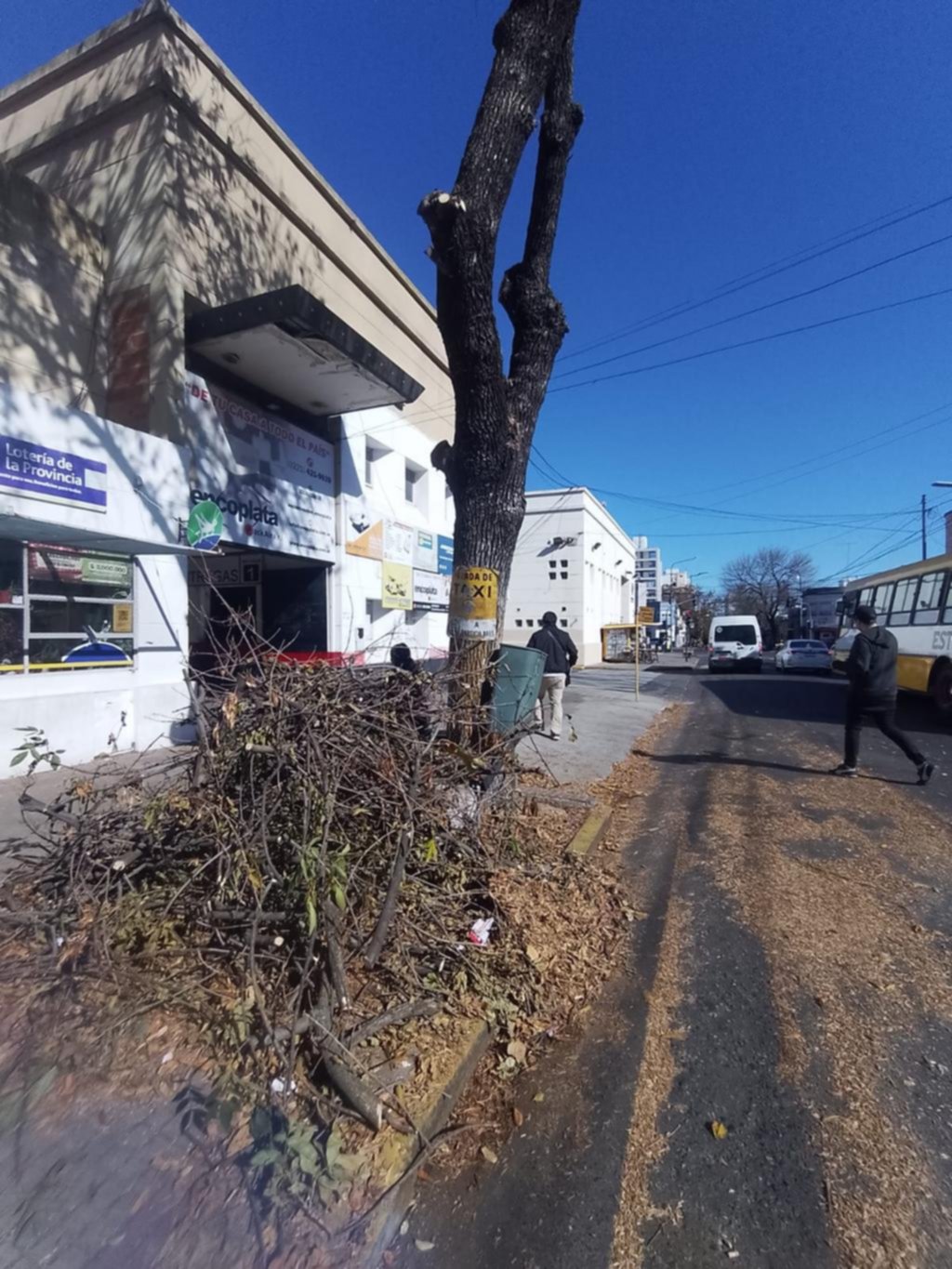 Reclaman por el retiro de los restos de poda en 1 y 41