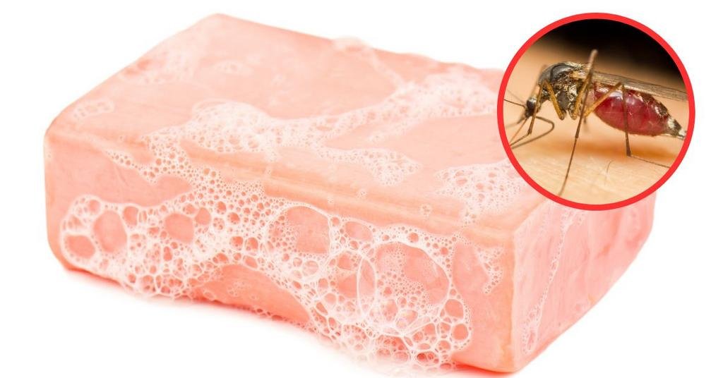 ¡Ojo con el jabón, que puede atraer a los mosquitos!