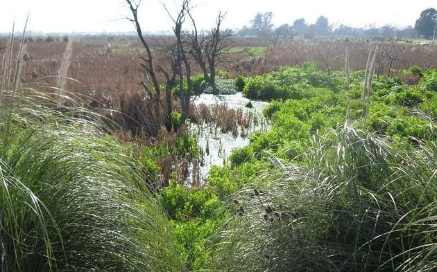 Sigue la polémica por licitación para vender un inmueble de la Reserva Natural Provincial Santa Catalina