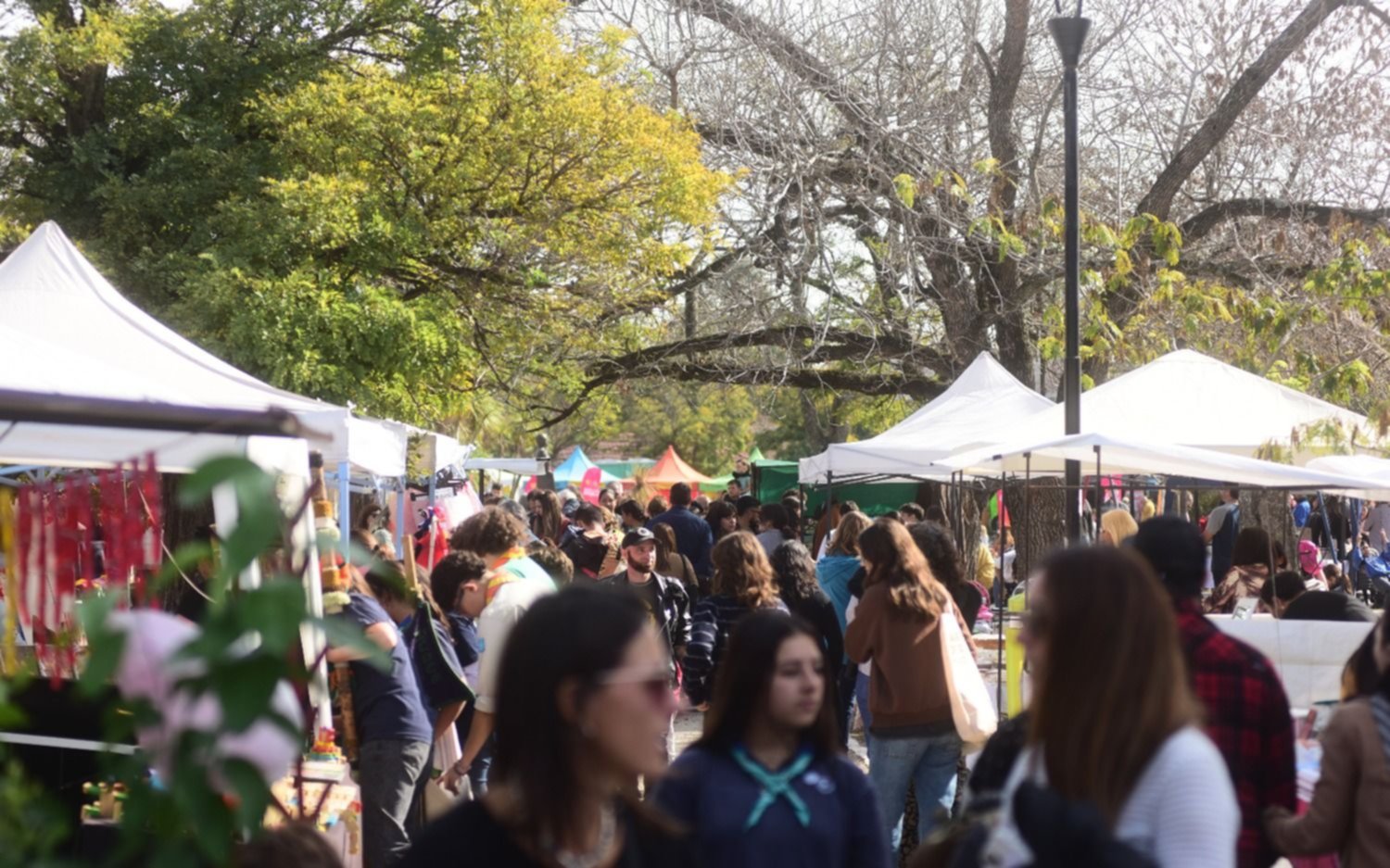 FOTOS | Con espectáculos, música y gastronomía, City Bell festeja su 109° aniversario