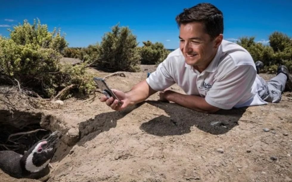 Quién es el científico argentino del Conicet que ganó el "Nobel" de la conservación animal