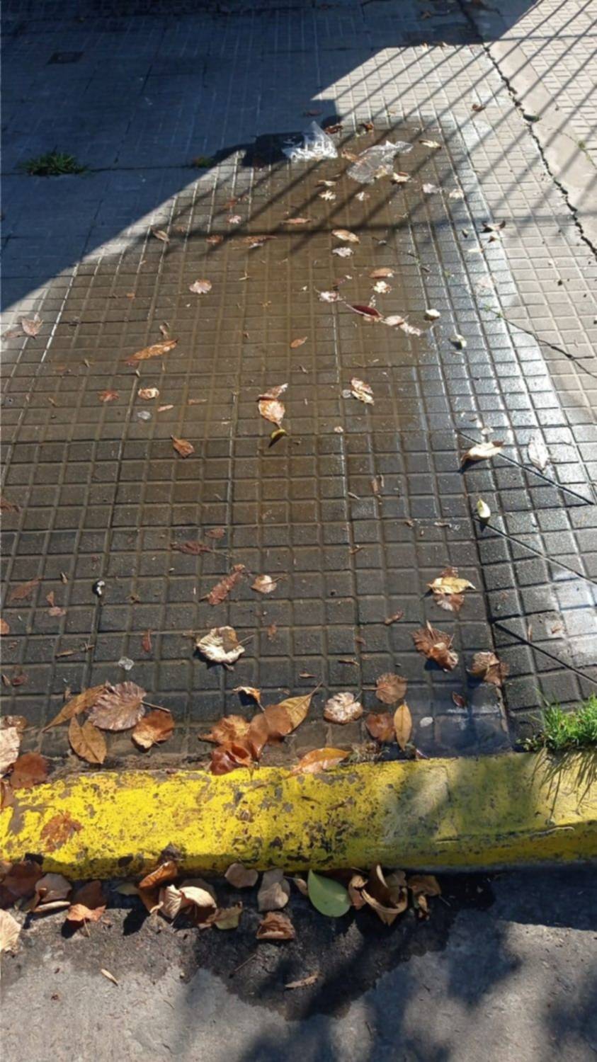 El drama de una vecina platense: tiene una pérdida de agua en la puerta, pero no sale una gota de las canillas