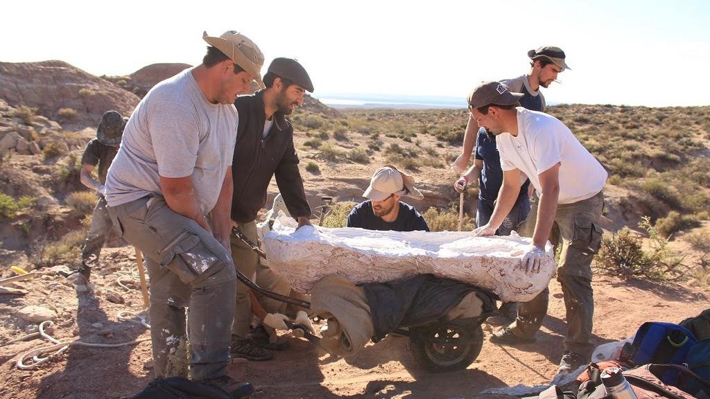 Dinosaurios gigantes: descubrieron una nueva especie