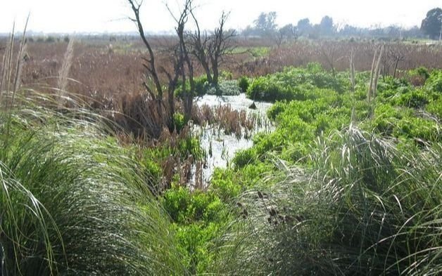 La Justicia frenó la venta de tierras de la UNLP del predio Santa Catalina