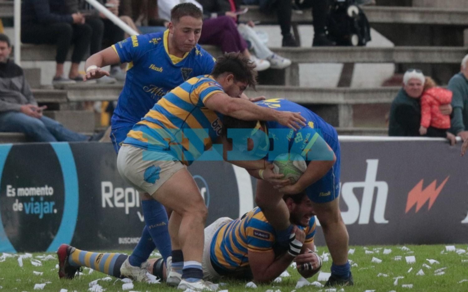 Rugby de la URBA: triunfos de La Plata RC y Universitario, mientras que San Luis volvió a caer