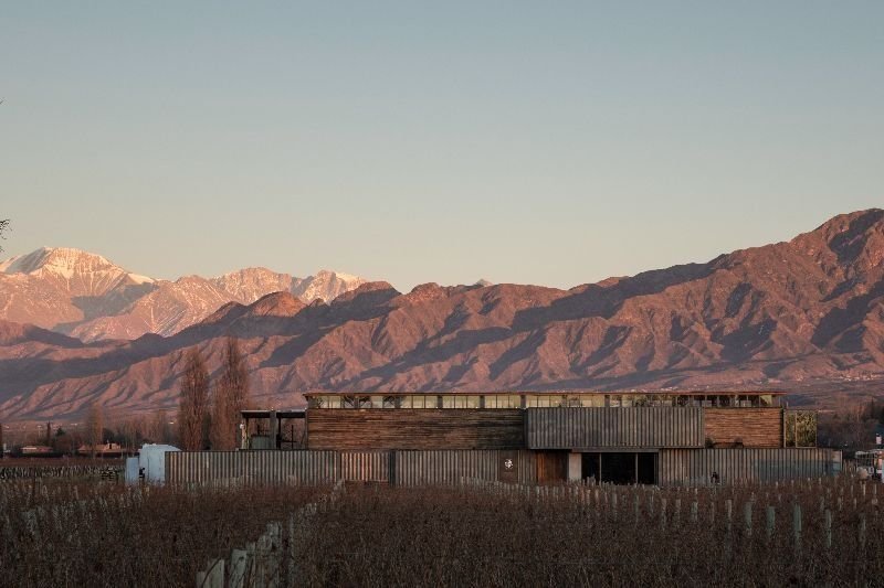 MAAL Wines presentó sus vinos ante la prensa