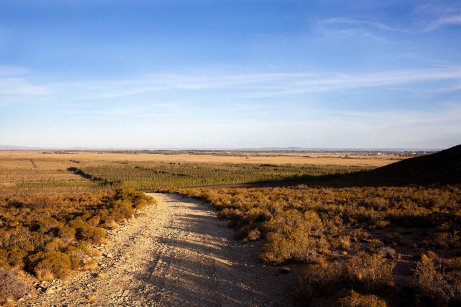 Sarmiento, nueva Indicación Geográfica
