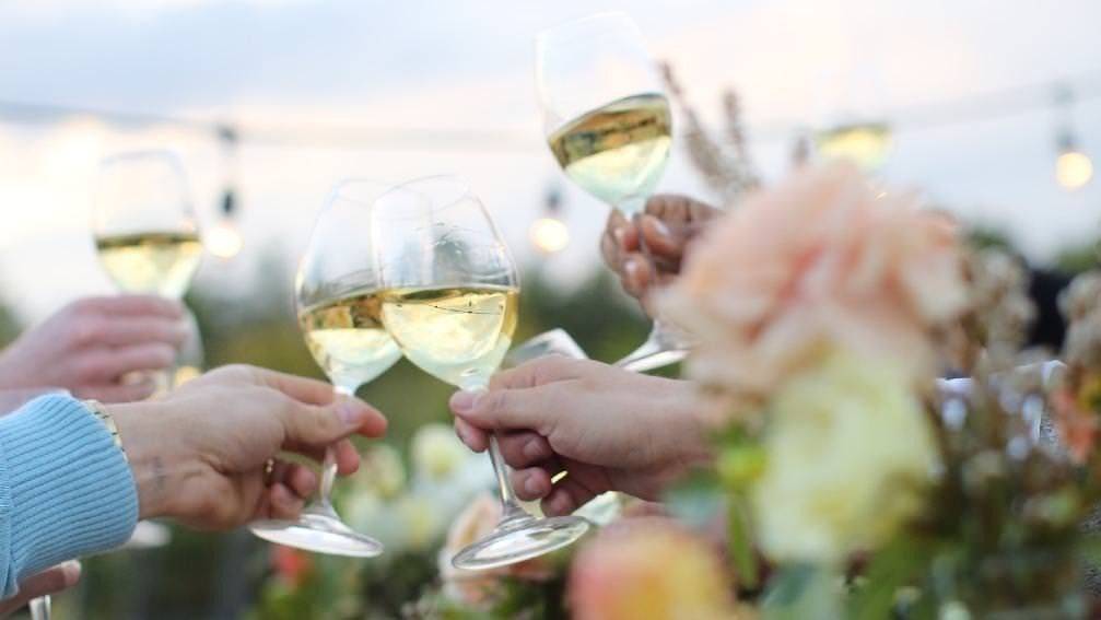Día Mundial del Chardonnay: Diferentes vinos recomendados para festejar