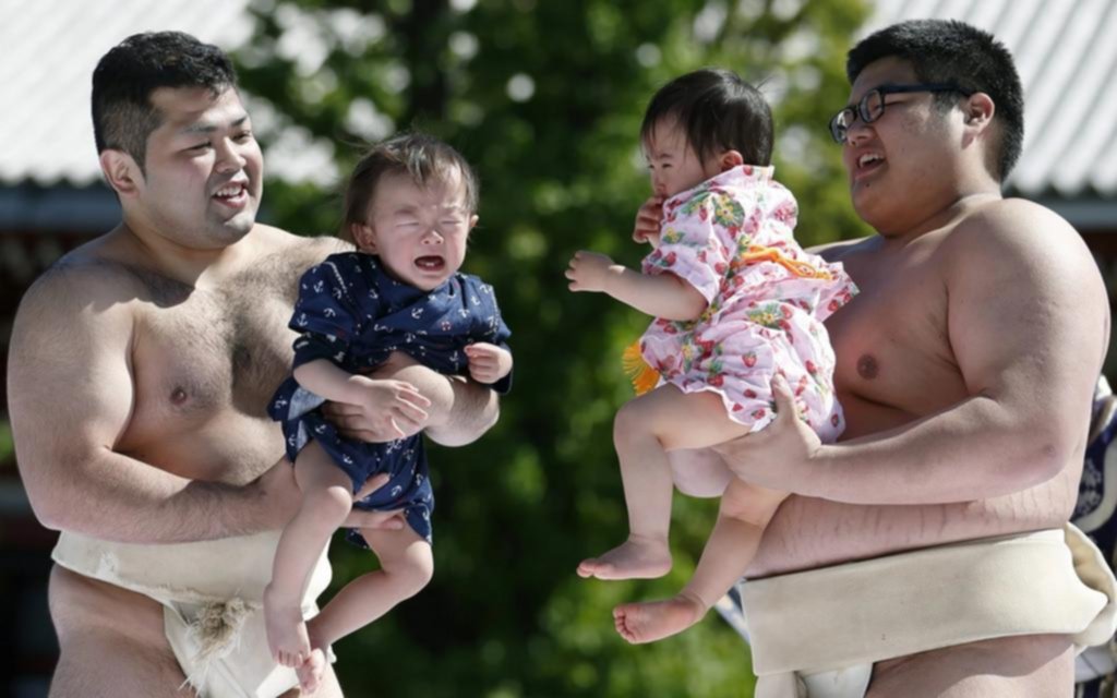 El “sumo de llanto”, un ritual para bebés en Japón