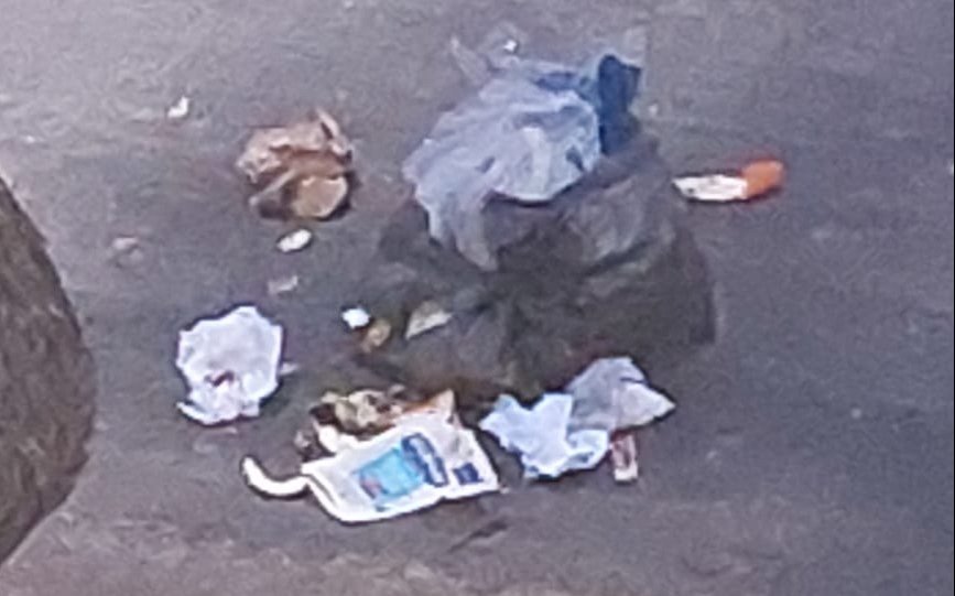 Bolsas de basura rotas por la noche,  un drama que genera hartazgo en Gonnet