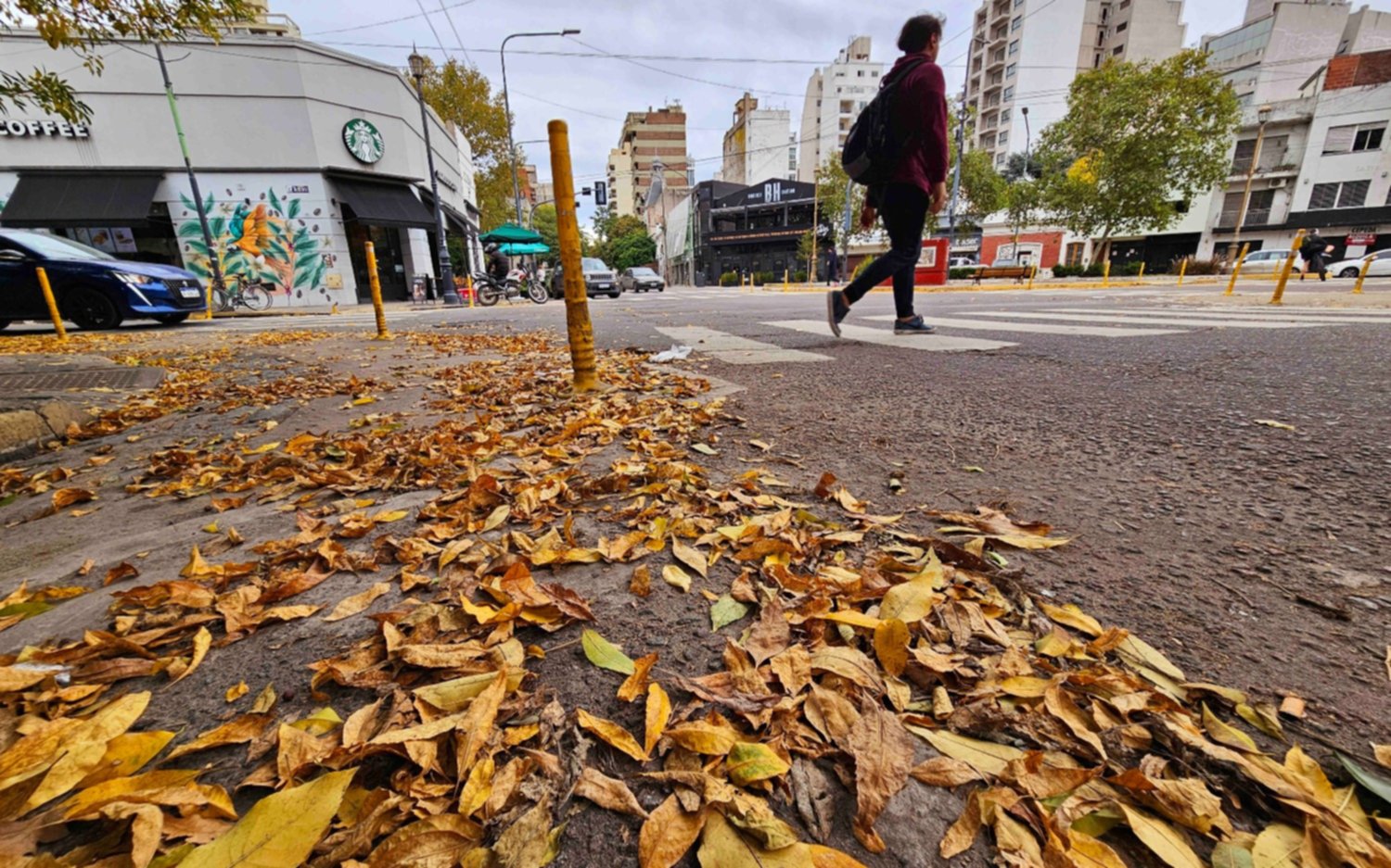 Tras el feriado: cómo seguirá el clima en La Plata en el resto de la semana