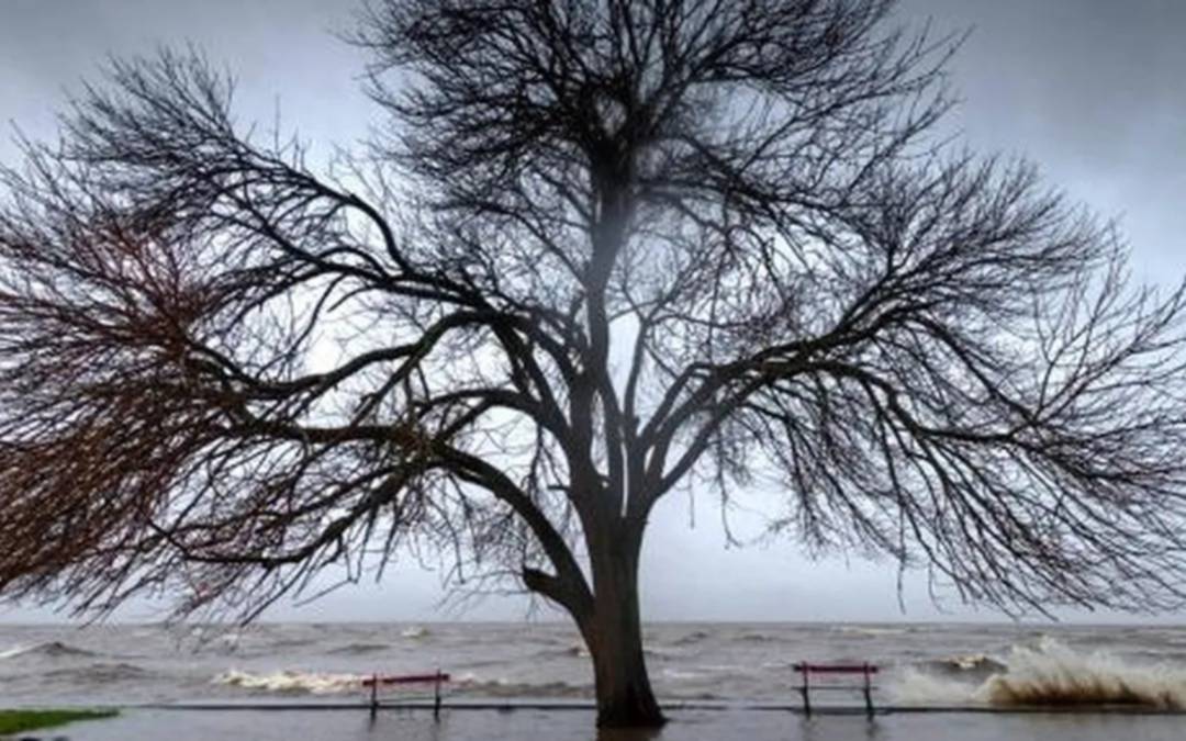 Desborda el río en Quilmes