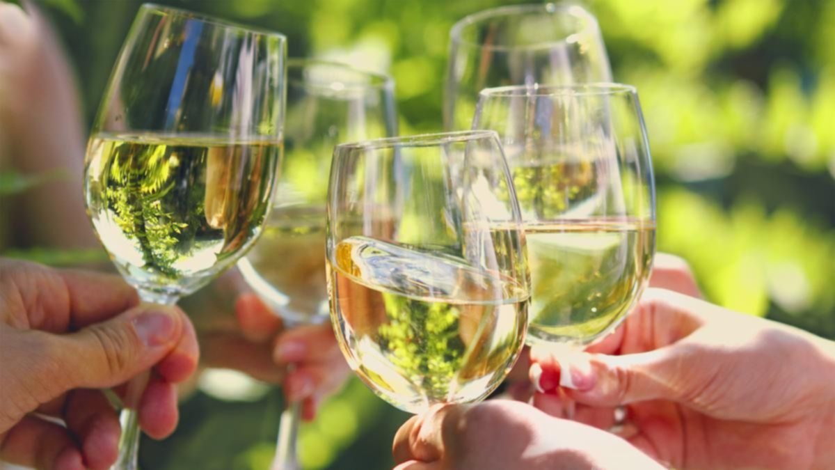 Se conmemora el Día Internacional del Sauvignon Blanc 