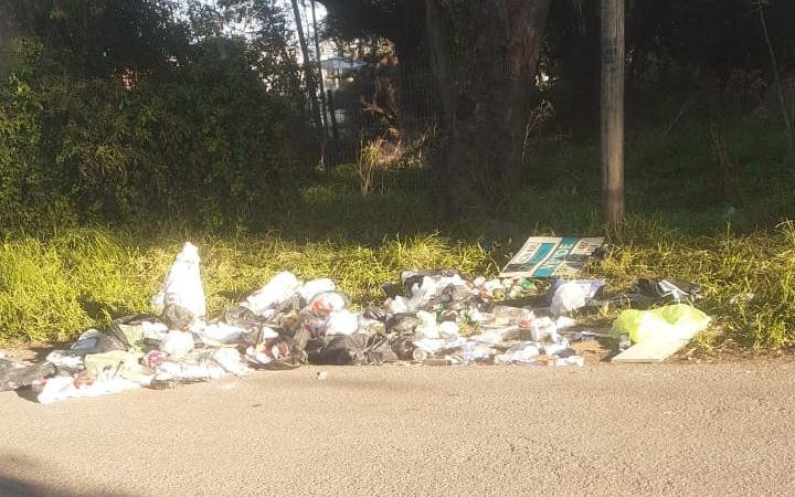 Basural, pasto largo y falta de luz en la zona de 7 y 92