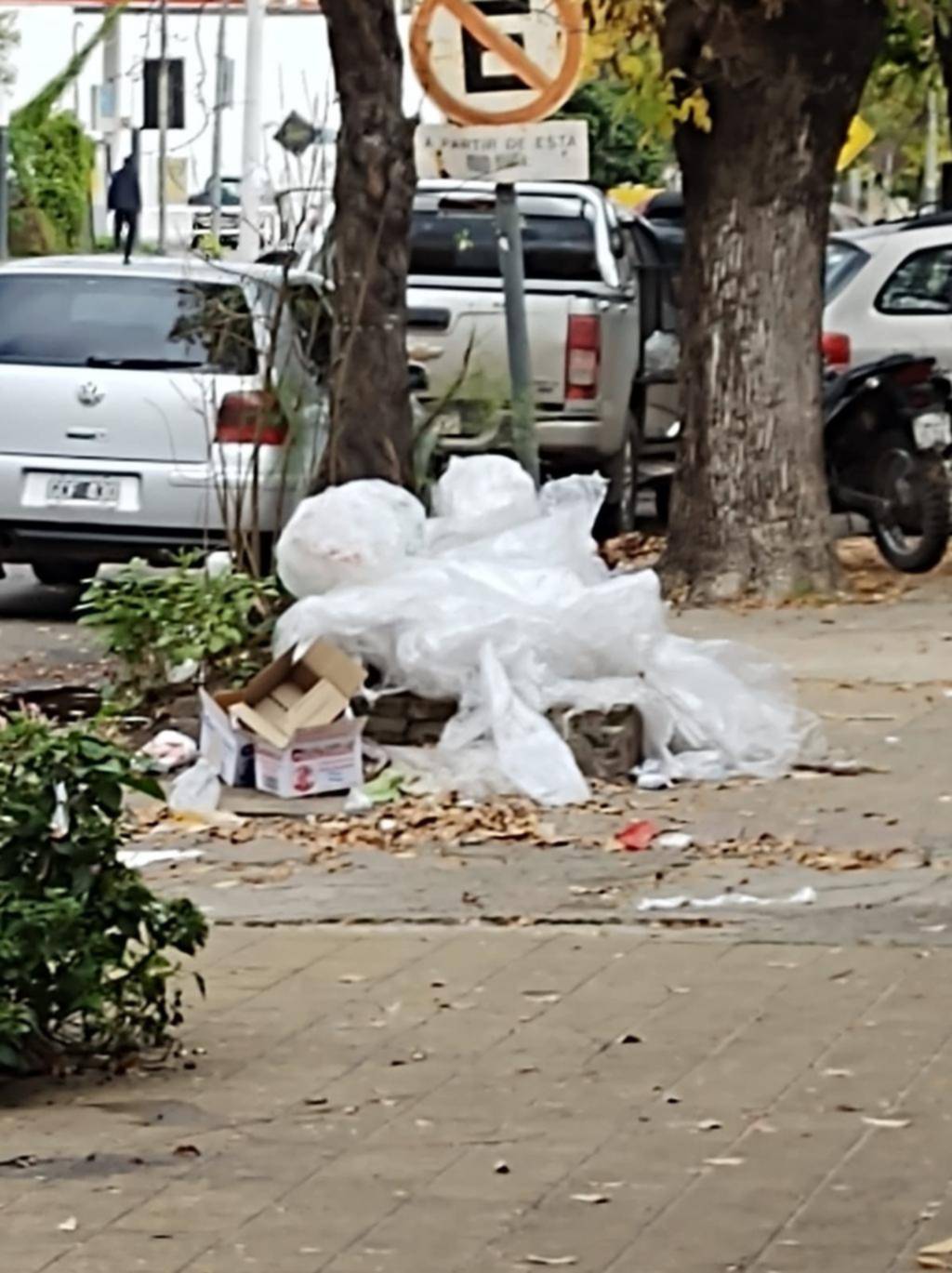 Residuos en una zona de comercio en 60, 30 y 31