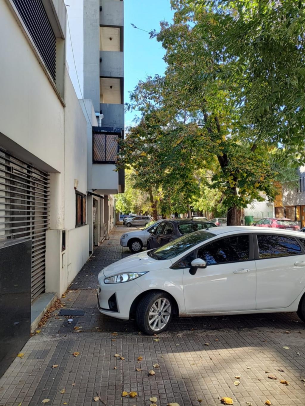 Un festival de infracciones avanza sin pausa ni control en las calles platenses