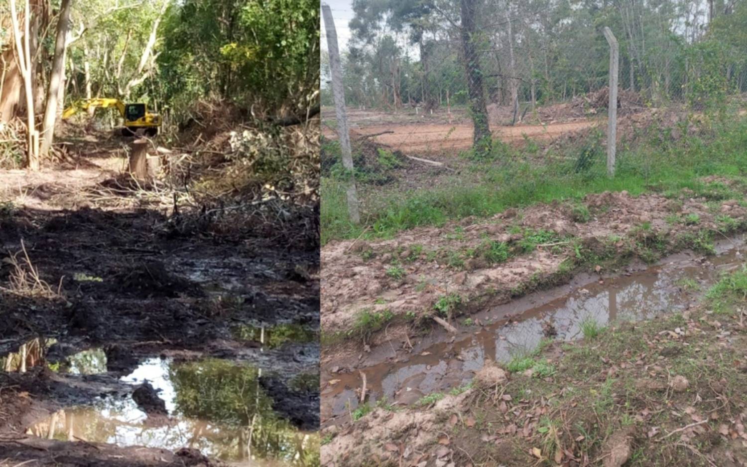 Desmonte en el Bosque de Hudson, lindero a la Reserva de Biosfera