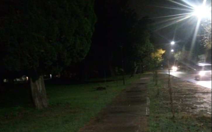 Inseguridad, otro robo de cables y todo un barrio sin luz en La Plata