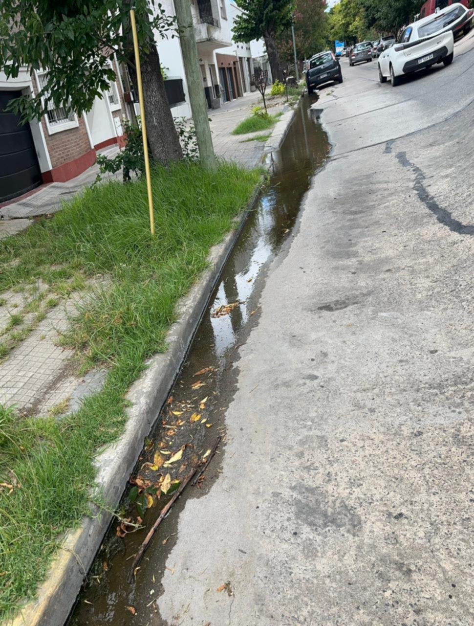 Pérdida de agua y peligroso verdín en 33 entre 10 y 11