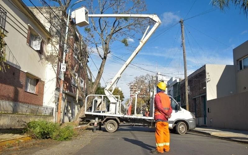  Municipio continúa con las tareas de poda correctiva