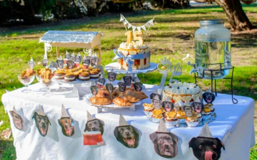 Mercado de cuatro patas: el boom de los emprendimientos para mascotas en la Ciudad