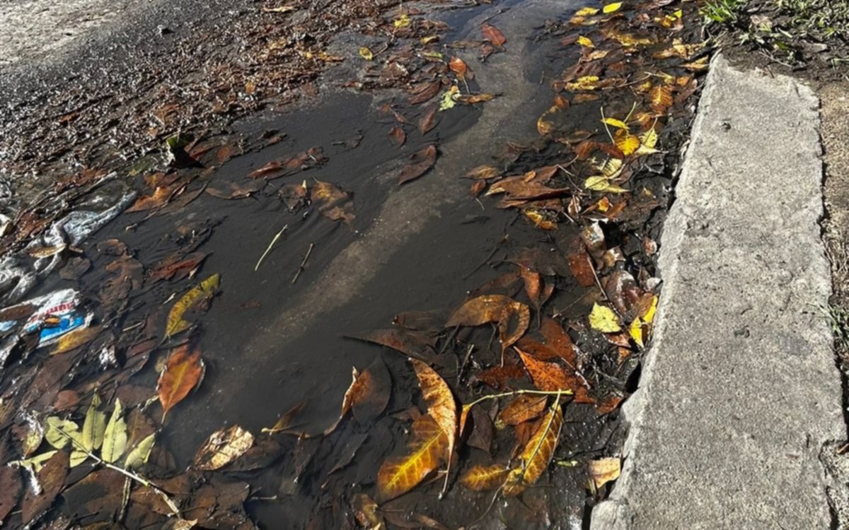 La Plata: vecinos reclaman por pérdida de agua