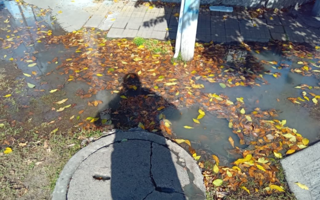 “Absa no aparece”: cloacas desbordadas en una zona de Altos de San Lorenzo