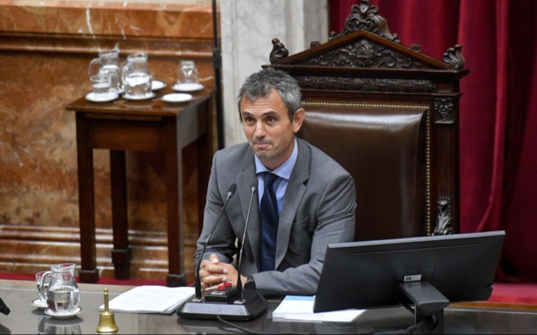 Martín Menem apuntó contra los senadores por dilatar el tratamiento de la Ley Bases