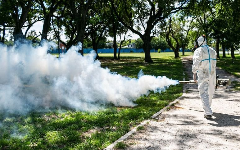 Fumigación contra el dengue: barrio por barrio, ¿dónde lo harán en La Plata?