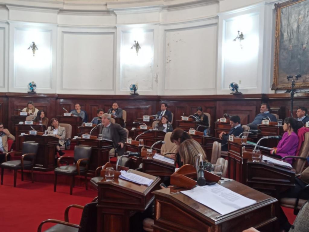 Con polémica, el Concejo declaró patrimonio de la Ciudad al eje fundacional