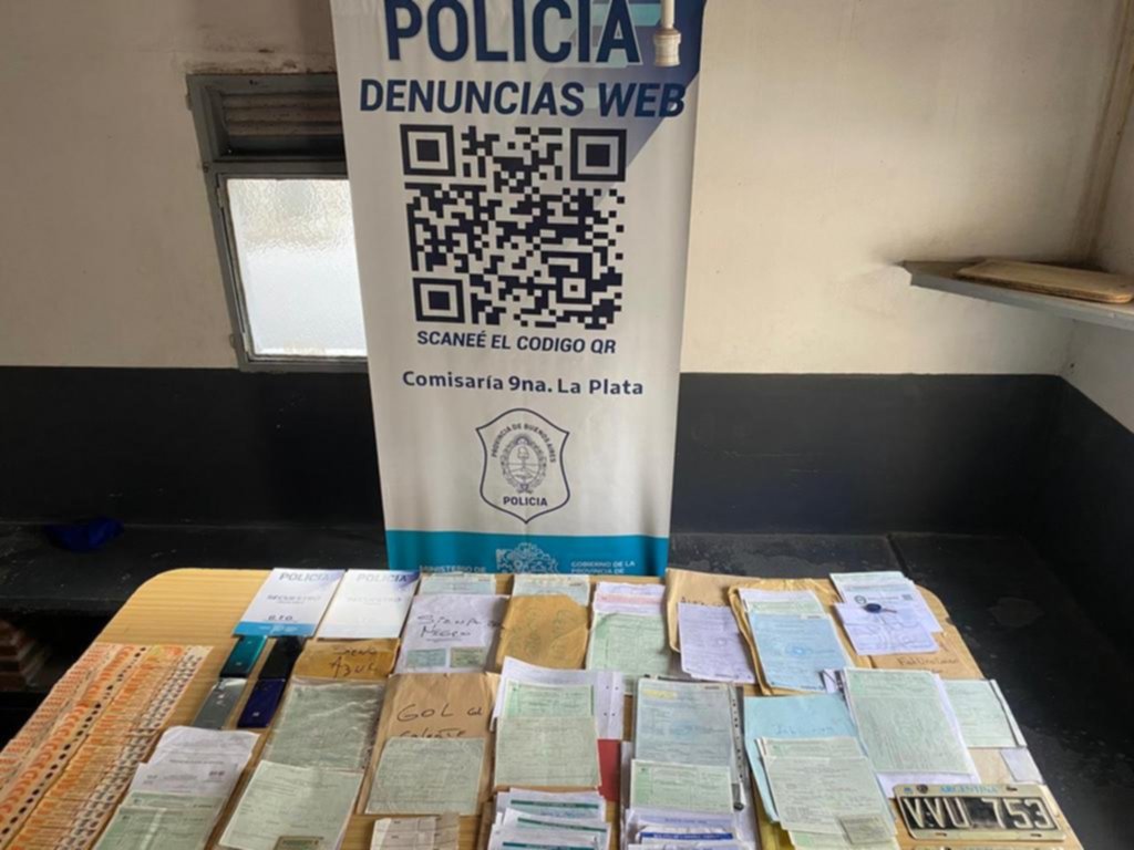 Robaban autos en La Plata, los adulteraban y vendían