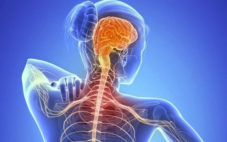 ELA: anuncian un avance clave para el tratamiento de la dura enfermedad