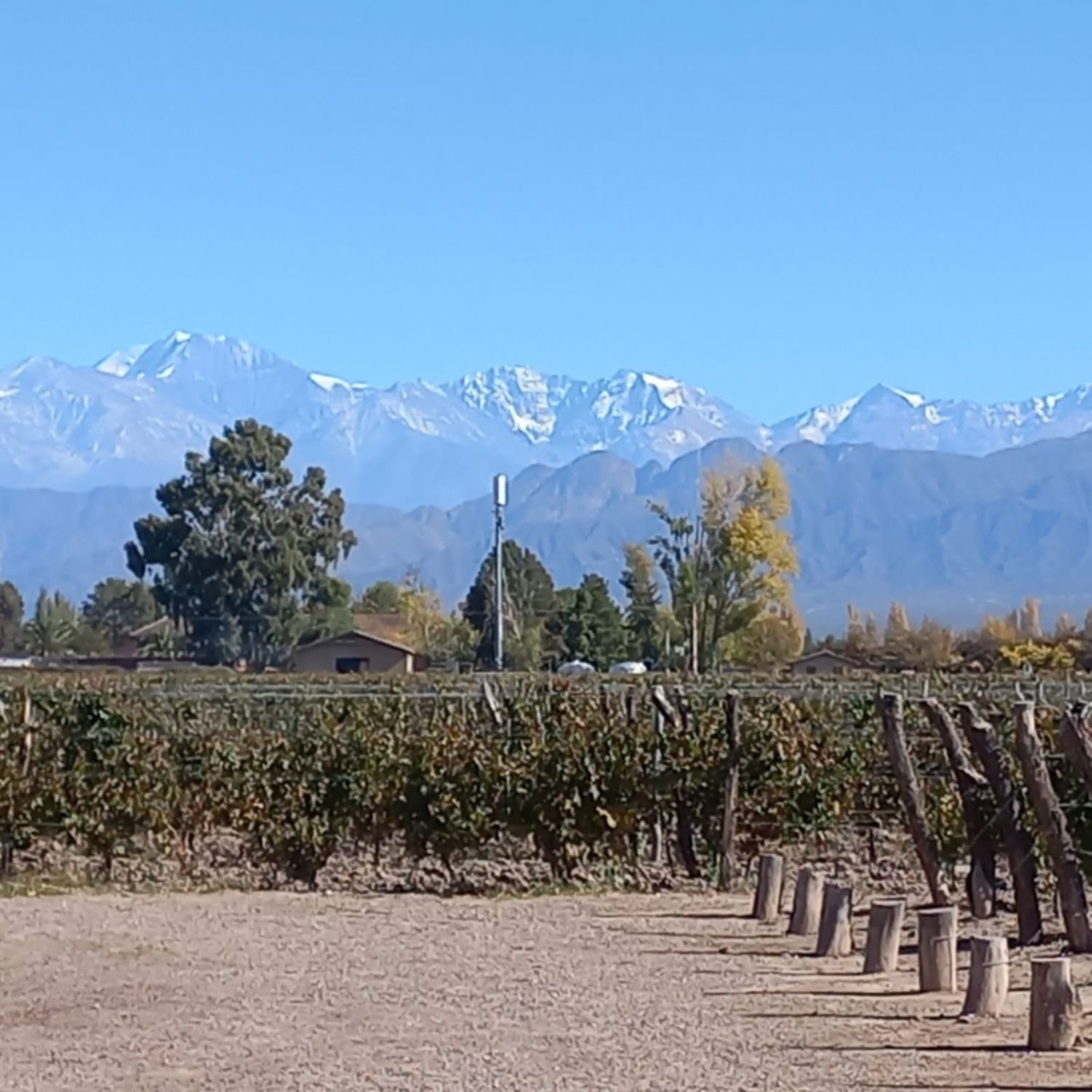 Bodega Vistalba con el ADN de Luján de Cuyo