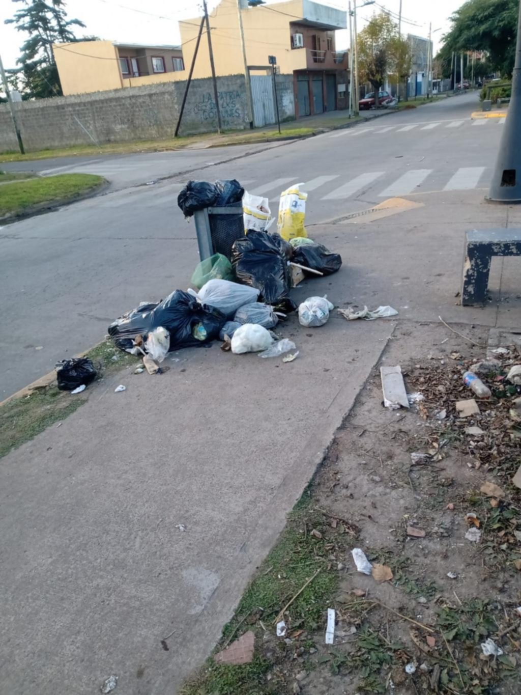 Piden recolección de residuos en Tolosa