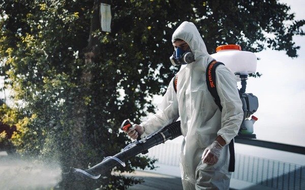 Fumigación contra el dengue: barrio por barrio, dónde se fumigará este lunes en La Plata