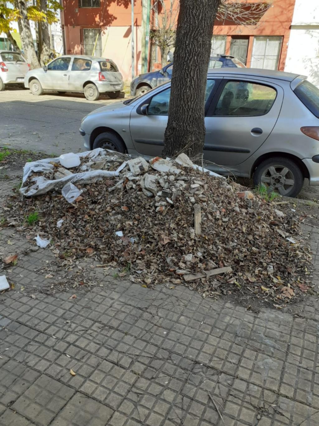 Se formó un basural en la cuadra de 2 entre 68 y 69
