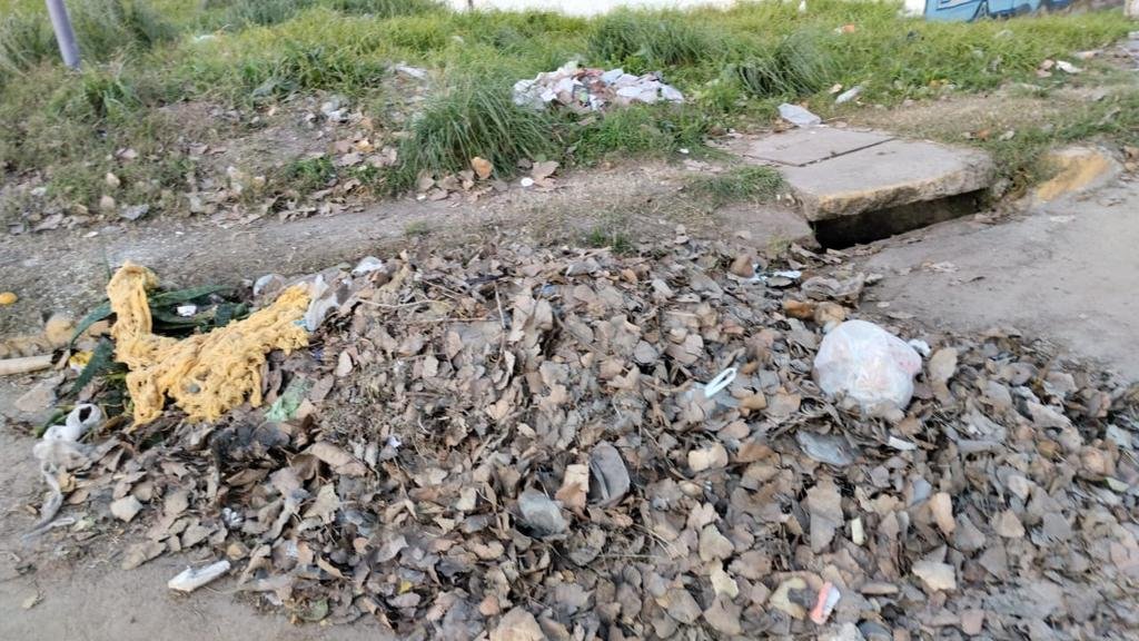 En San Carlos, los vecinos deben quitar la basura