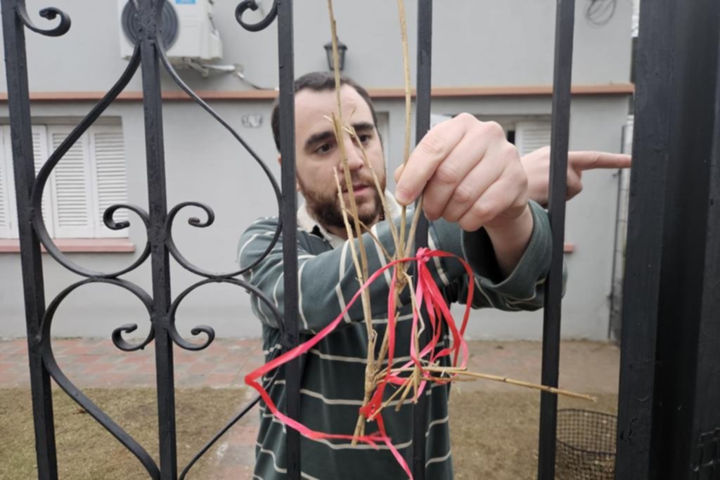 Misterioso robo del “moño rojo” en La Plata: la ola delictiva pasó por El Mondongo