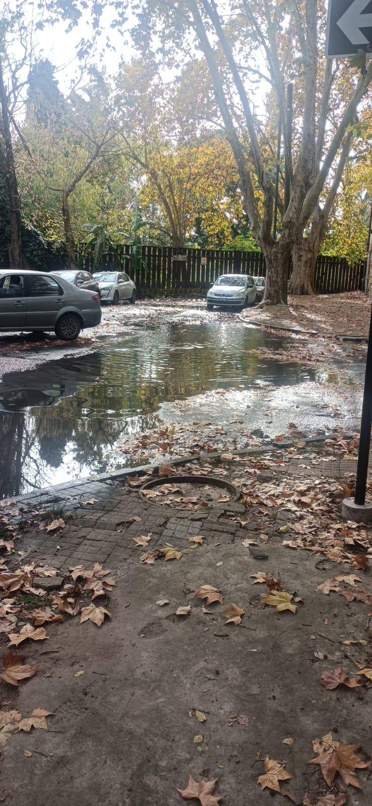 Una laguna por una pérdida en la zona de 115 y 46