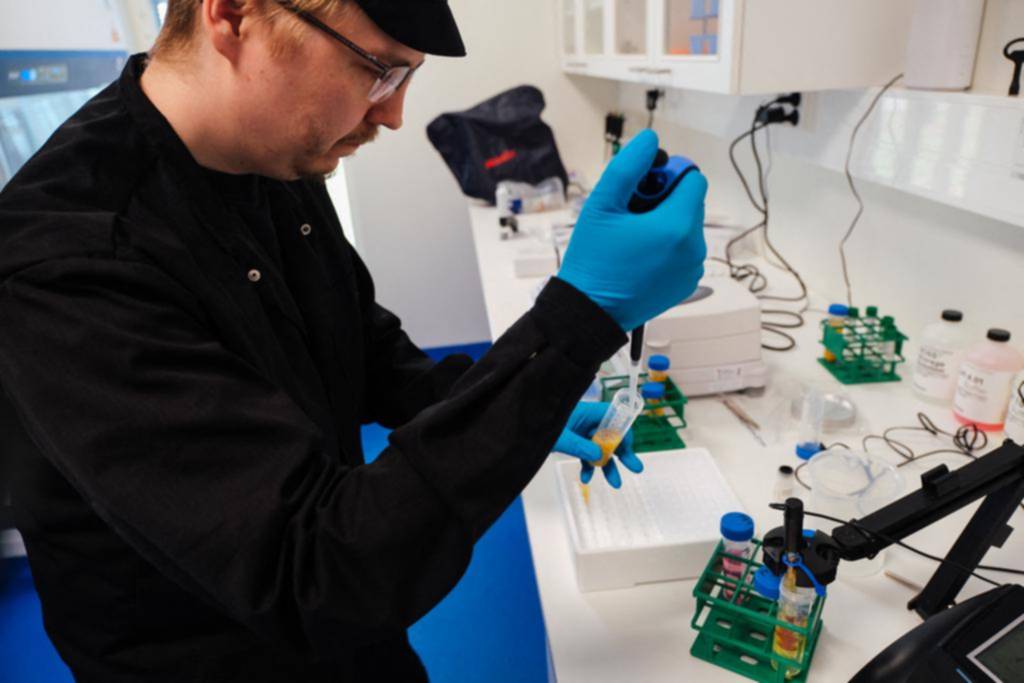 ¿La comida del futuro?: crean proteína con aire y energía