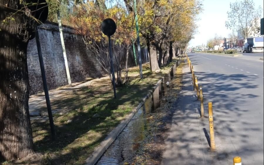 Alertan por bicisendas "peligrosas" en la zona del Cementerio de La Plata