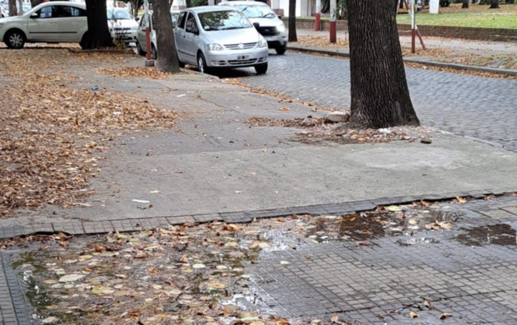 Peligro por un árbol y una pérdida de agua en 11 y 64