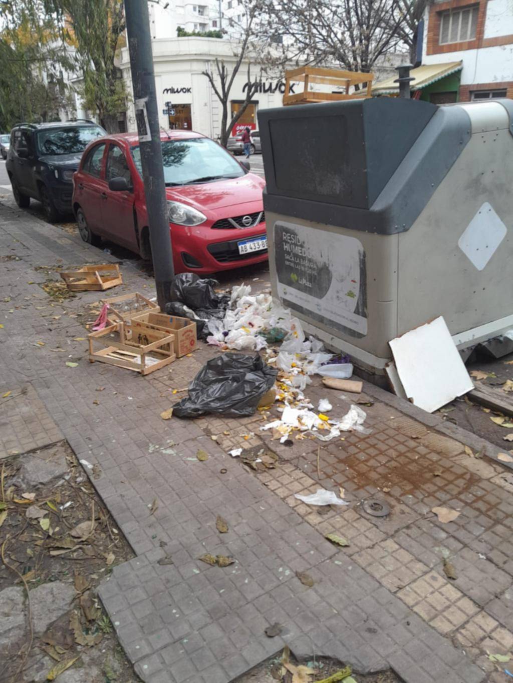 Un contenedor rodeado de basura en 9 y 55