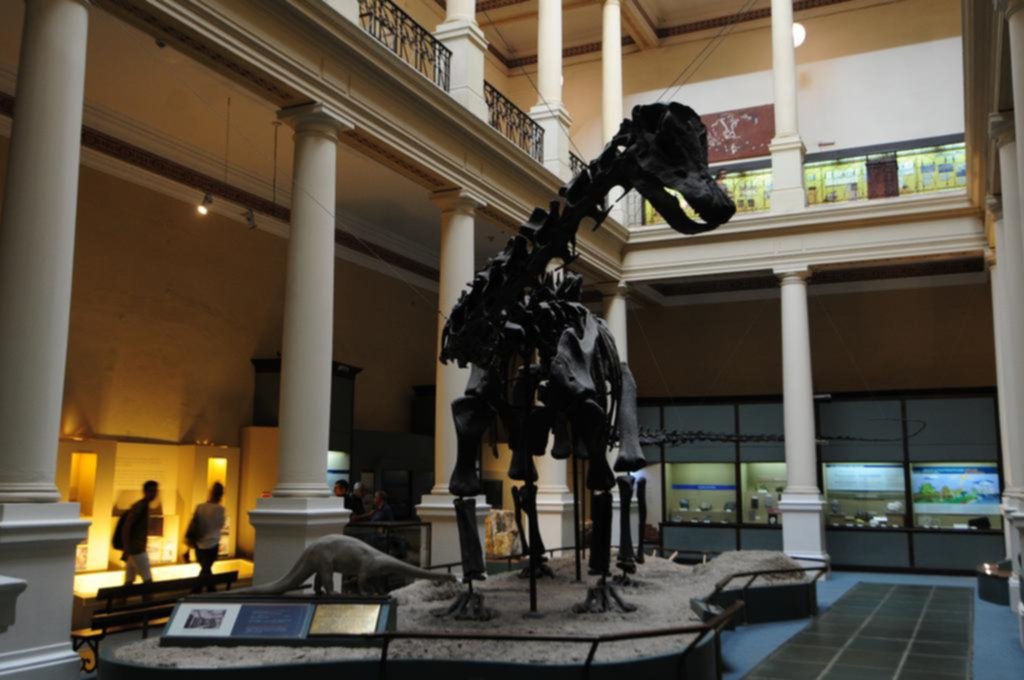 El Museo, la joya acaso más valiosa de la Ciudad