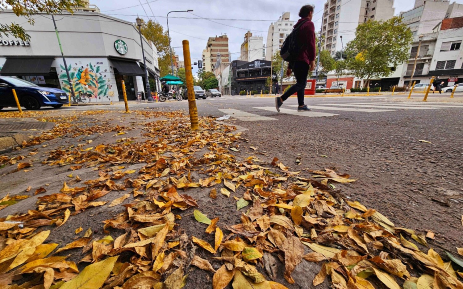 Mucho abrigo y paraguas a mano: así estará el clima en La Plata esta semana